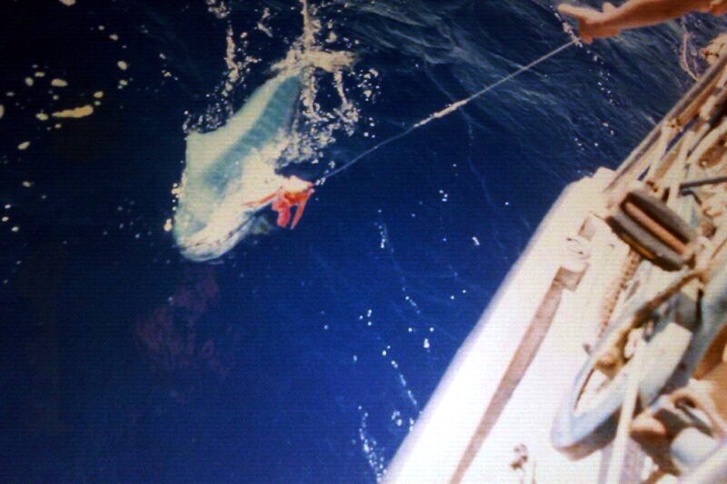 A dorado on the deck of Chricanto.